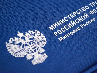 Сумки и рюкзаки
